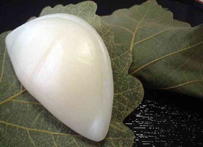 Kashiwa Mochi - Bánh gạo của trẻ thơ