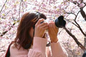 Du học sinh cần nắm rõ quy tắc khi quay phim, chụp ảnh ở Nhật