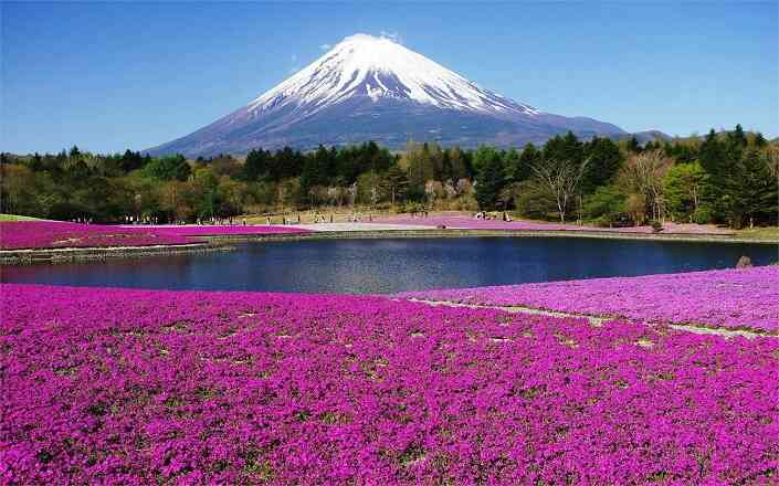 Núi Phú Sĩ - Ngọn núi cao nhất Nhật Bản