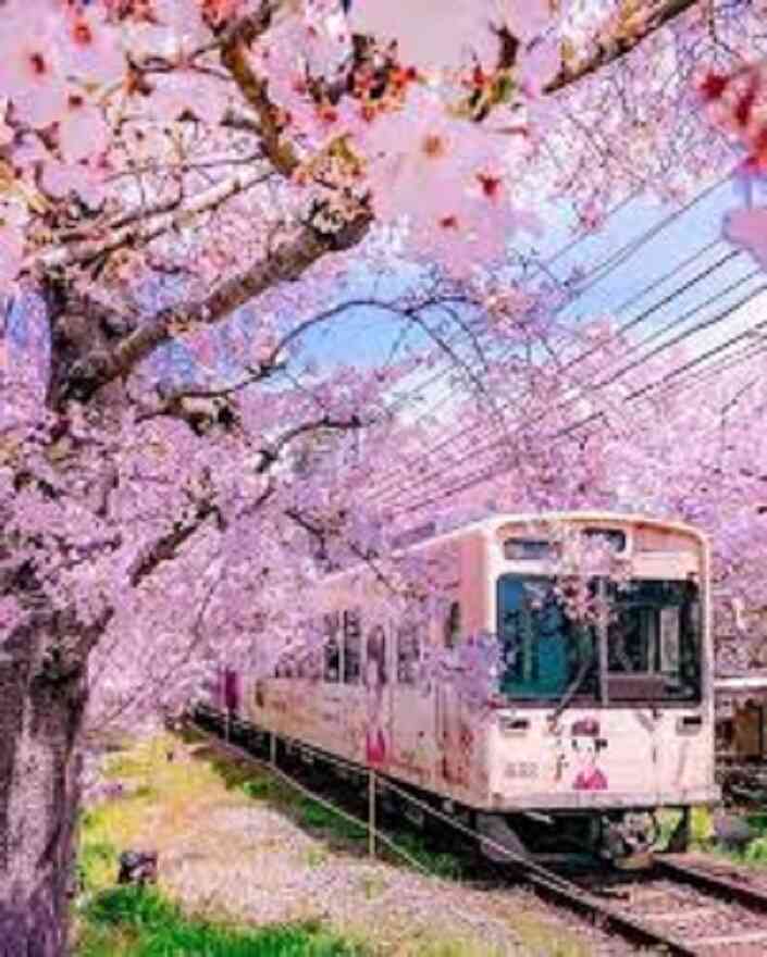 Bạn có thể di chuyển đến Hoàng cung Tokyo bằng tàu điện