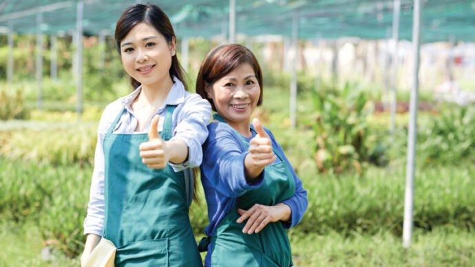 4 yếu tố ảnh hưởng đến chi phí đi xuất khẩu Nhật Bản